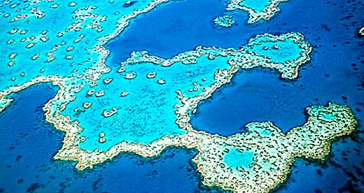 澳大利亚大堡礁：历史，描述和有趣的事实