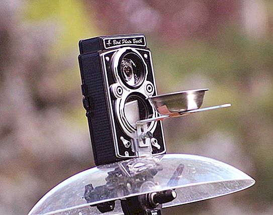 Kameramatare - en lysande idé: fantastiska fågelbilder
