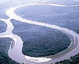 Největší řeka na světě - Amazonka