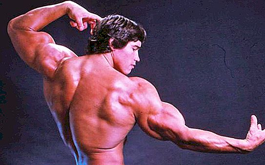 Schwarzenegger in his youth. Short biography. The path to fame
