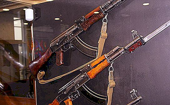 Rifle SVK: histórico de criação, dispositivo e características