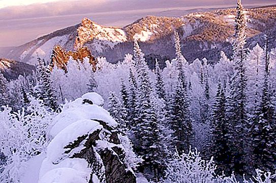 Prirodni rezervat Taimyr Prirodni rezervati svijeta i Rusije