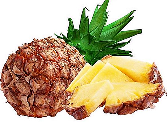 Egzotyczny ananas: gdzie rośnie ten rzadki owoc?