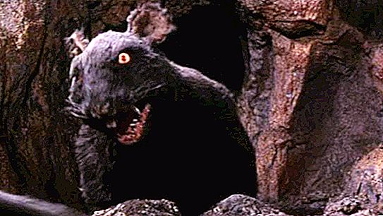 Rott Wolf: kas legendid on tõesed?