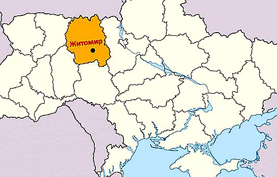 Zhytomyr népessége: a teljes népesség, az országos és az életkor szerkezete. A város nyelvi helyzete