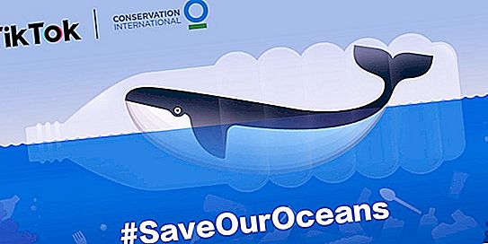 TikTok은 해시 태그 #SaveOurOceans로 업로드 된 각 비디오에 대해 바다를 절약하기 위해 2 달러를 기부합니다.