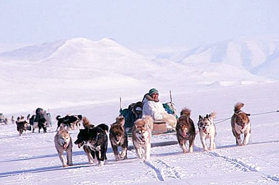 北極の先住民。 北極の先住民族は誰ですか？