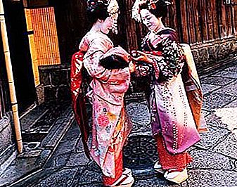 Siapa geisha dalam budaya Jepun?