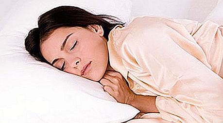 Ordspråk om reglerna för sund sömn. Ryska ordspråk och ordstäv