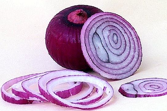 Strengthening immunity, improving sleep: what positive changes will occur in the body if you eat onions daily