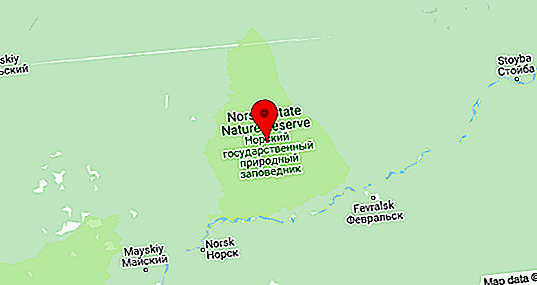 Cadangan Norsky di wilayah Amur: karakteristik umum, flora dan fauna
