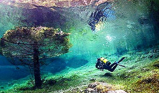 Egyedi zöld tó: víz alatti világ Ausztria közepén