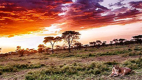 La gran grieta africana: descripción, historia y hechos interesantes