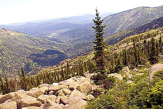 Reserva Natural de Tigireksky: Àrees protegides del territori de l'Altai