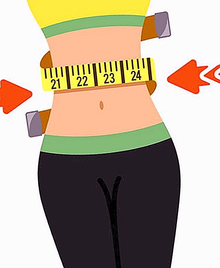 여성 허리 : 유형, 체격 및 이상적인 비율
