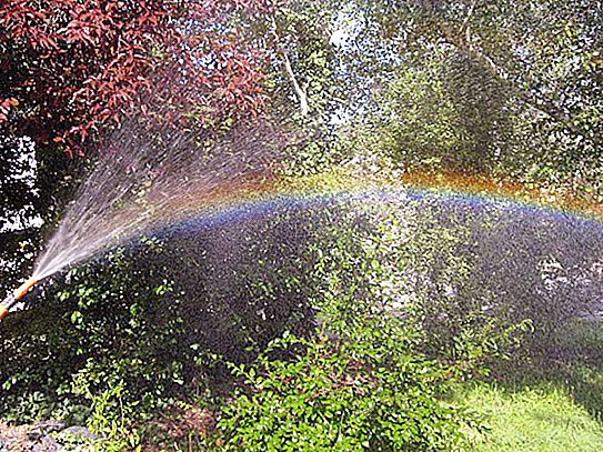 Wie man zu Hause einen Regenbogen macht