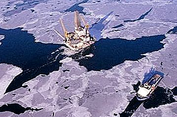 Kakšne so rezerve nafte v Rusiji?