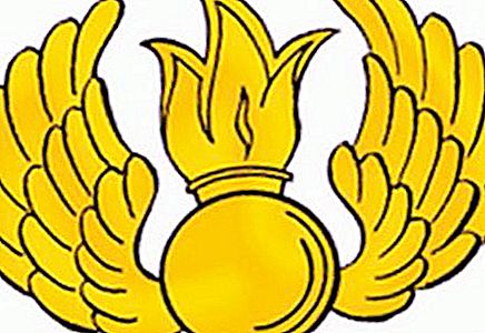 Bandera y escudo de armas de las fuerzas aerotransportadas rusas: descripción, historia y hechos interesantes