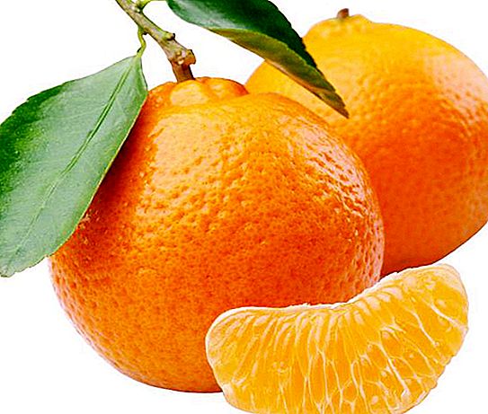 Kde rastú pomaranče, v ktorej krajine?