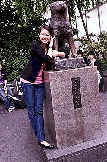 Hachiko: sebuah monumen di Tokyo. Monumen untuk anjing Hachiko di Jepang