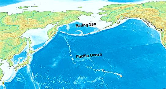 Kāda ir lielākā jūra Krievijā? Atklājiet ģeogrāfijas noslēpumus