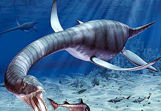 Dinozauri plutitori: specie, descriere, origine