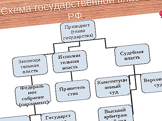 Νομικό καθεστώς του Προέδρου της Ρωσικής Ομοσπονδίας: ορισμός, κανονιστικά έγγραφα, εξουσία
