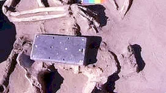 Ρωσική «Ατλαντίς»: οι αρχαιολόγοι βρήκαν ένα iPhone 2100 ετών, αποδείχθηκε ότι ήταν μια πόρπη ζώνης