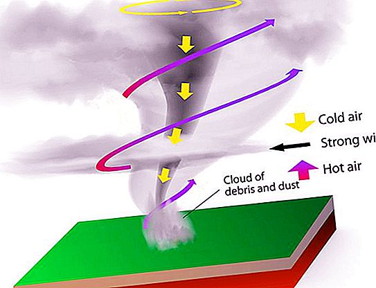 ความแตกต่างระหว่างพายุทอร์นาโดและพายุทอร์นาโดคืออะไร? ทอร์นาโดหรือทอร์นาโดไหนแข็งแกร่งกว่ากัน