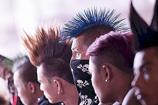 Cara menjadi punk: peraturan transformasi, penampilan dan gaya hidup