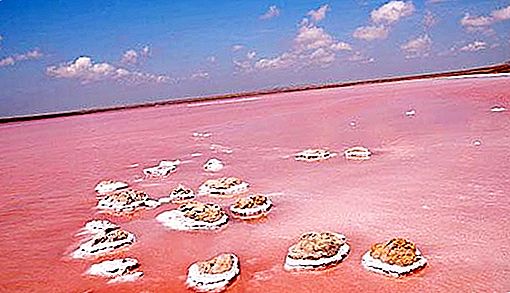 Koyashsky sø. Koyashsky salt sø på Krim