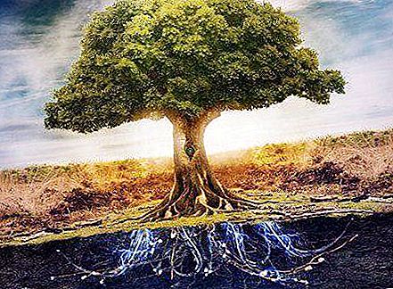 Symbol "World Tree" slaver