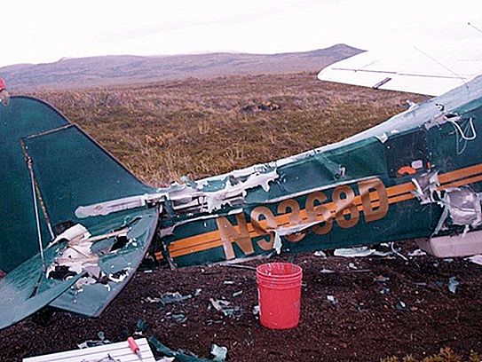 Ursul a distrus aproape complet avionul, dar pilotul l-a reparat cu bandă adezivă și a zburat spre casă