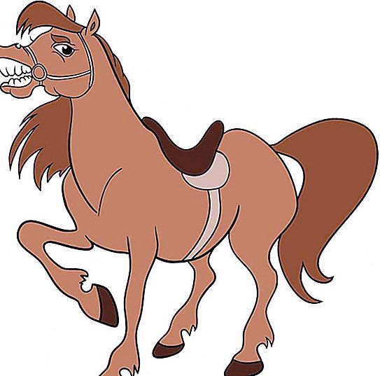 "Jangan menjahit ekor kuda": apa arti ungkapan ini
