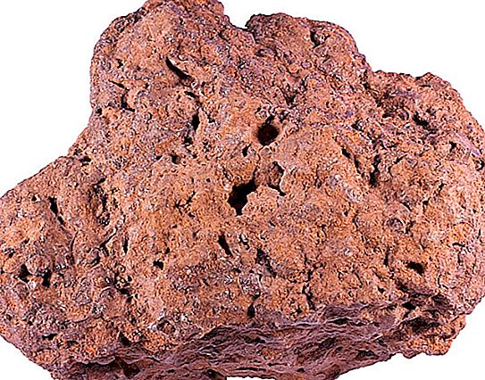 Mineral de pantans: composició, dipòsits, característiques mineres