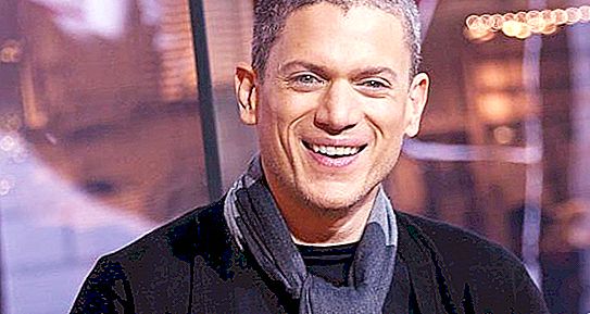 Wentworth Miller Biography - movies list, personal life and interesting facts