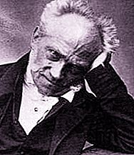 Schopenhauer's filosofi: frivillighed og menneskelivets formålsløshed