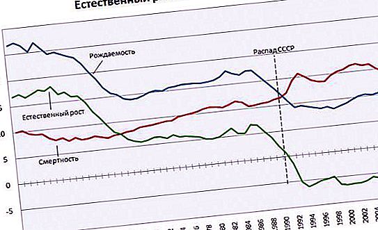 Demografische Gruben in Russland: Definition, Beschreibung, Hauptauswege aus der Krise