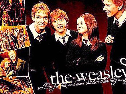 George Weasley ve Fred Weasley - hayatta kalan bir çocuğun hikayesinden yaramaz ikizler