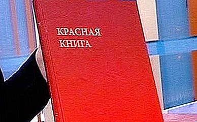 Red Book of the Vologda Oblast: zeldzame dieren en planten