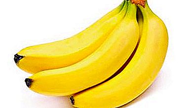 Skąd pochodzą banany do Rosji? Skąd pochodzą banany do Rosji?