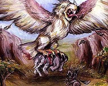 Bird Rukh - крилато чудовище от древността