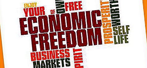 Tanda-tanda pasaran bebas dan ciri-cirinya, mekanisme pasaran dan fungsinya. Apakah tanda-tanda utama pasaran bebas?