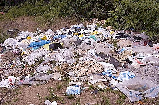 Tantangan #Trashtag semakin popular di web: orang membersihkan semua sampah di tempat yang tercemar