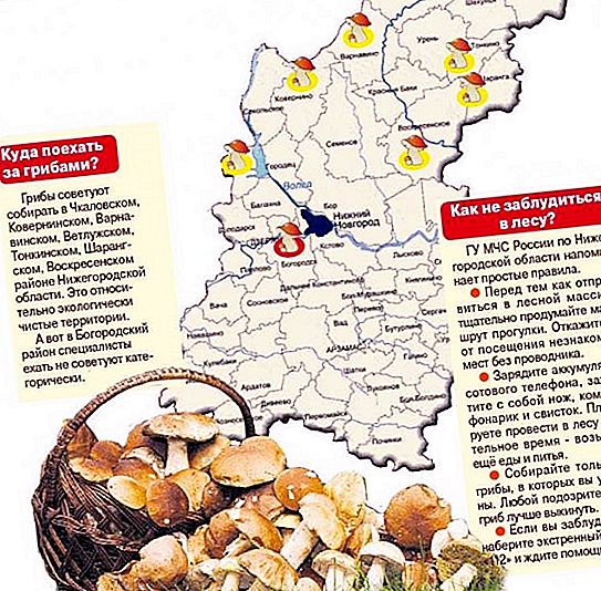 Mushroom places in the Nizhny Novgorod region. Map of mushroom places in the Nizhny Novgorod region