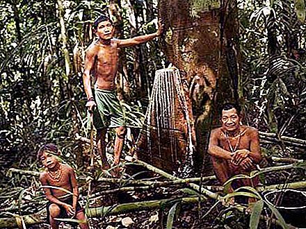 Piraha - en stamme som lever i harmoni med naturen