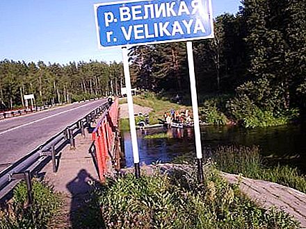 Floden Velikaya, Pskov-regionen: källor, omfattning, djup, forsränning, natur, fiske och rekreation