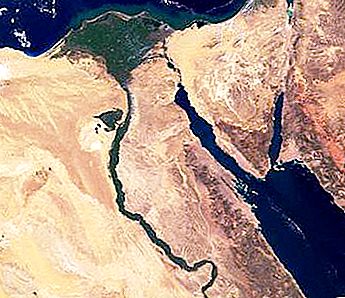 Sinai-ørkenen: beskrivelse, område, interessante fakta