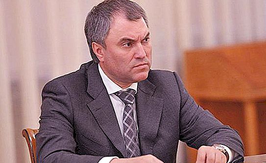 State Duma Speaker Volodin: biografi, aktiviteter och intressanta fakta