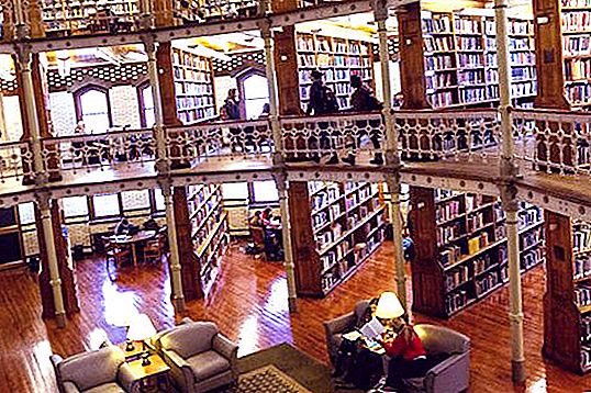Báo cáo về thư viện và đọc sách - một danh sách và sự thật thú vị